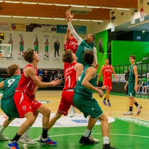 basket basket