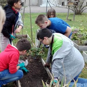 sem ta planete 17 Respect de l'environnement